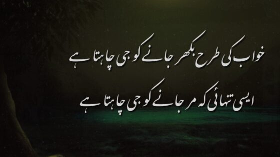 Tanhai Poetry in Urdu
