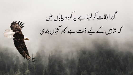 Allama Iqbal Poetry | Allama Iqbal Shayari