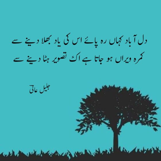 Dil Poetry  in Urdu