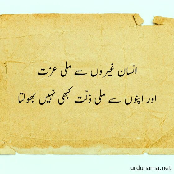 Urdu Life Quotes - Powerful Urdu Quotes About Life