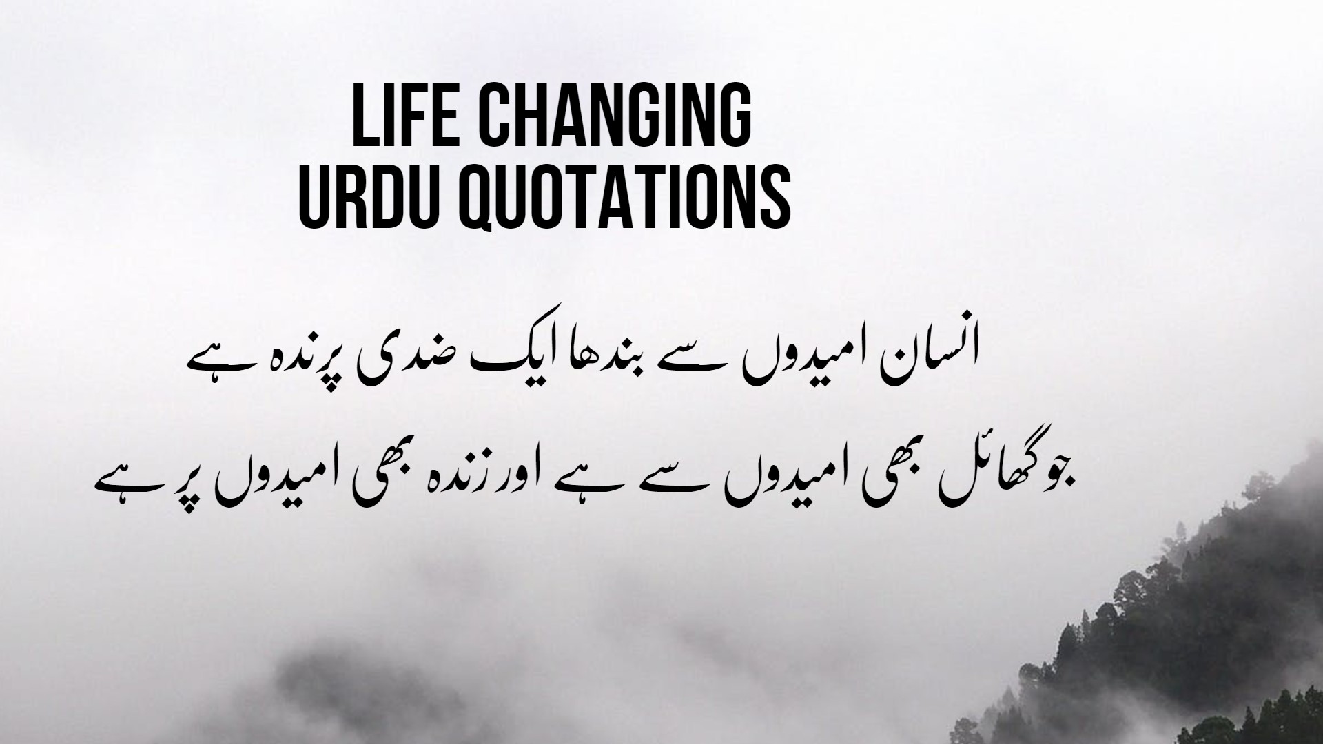 wallpaper quotes life in urdu