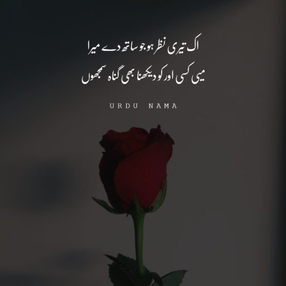 2 Line Love Romantic Poetry Collection in Urdu