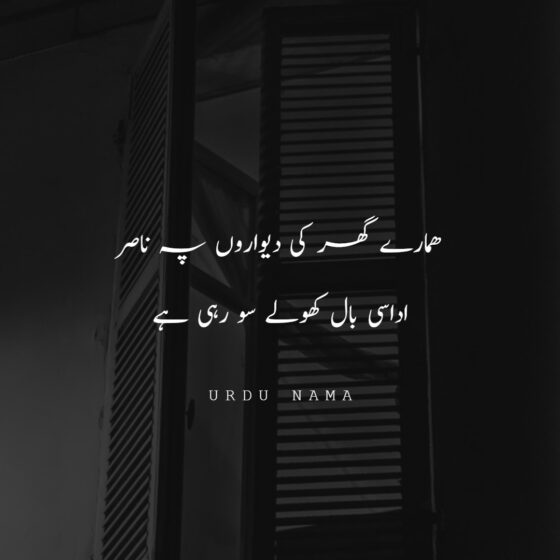2 Lines Sad Shayari in Urdu - Sad Heart Broken Poetry in Urdu