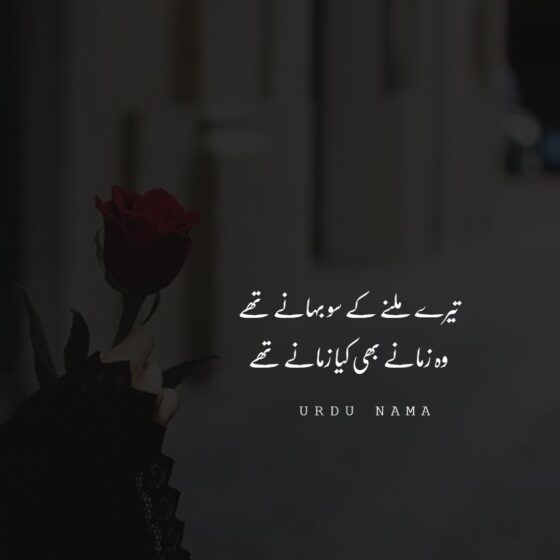 2 Line Love Romantic Poetry Collection in Urdu